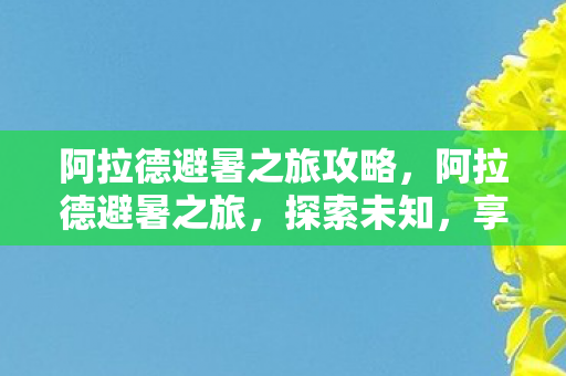 阿拉德避暑之旅攻略，阿拉德避暑之旅，探索未知，享受清凉