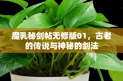 魔乳秘剑帖无修版01，古老的传说与神秘的剑法
