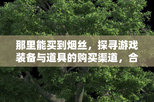 那里能买到烟丝，探寻游戏装备与道具的购买渠道，合法且实惠的购买指南