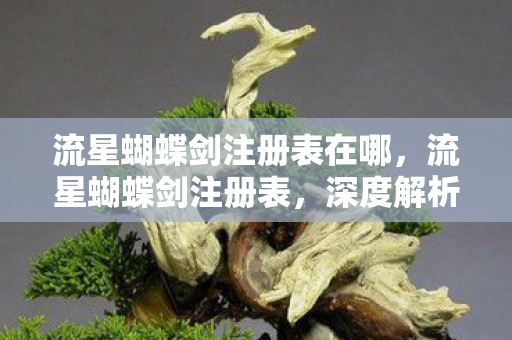 流星蝴蝶剑注册表在哪，流星蝴蝶剑注册表，深度解析与实战应用