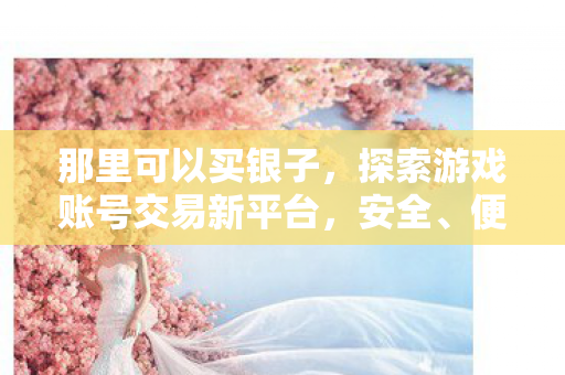 那里可以买银子，探索游戏账号交易新平台，安全、便捷、低价购买心仪账号