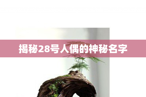 揭秘28号人偶的神秘名字
