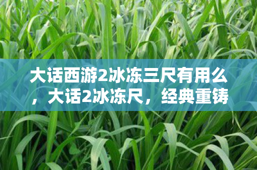 大话西游2冰冻三尺有用么，大话2冰冻尺，经典重铸，冰封岁月的传奇