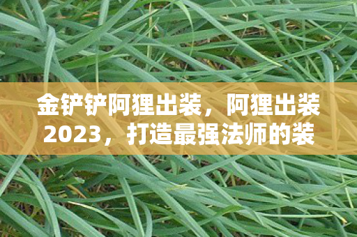 金铲铲阿狸出装，阿狸出装2023，打造最强法师的装备指南