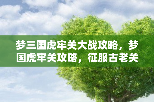 梦三国虎牢关大战攻略，梦国虎牢关攻略，征服古老关隘的必胜指南