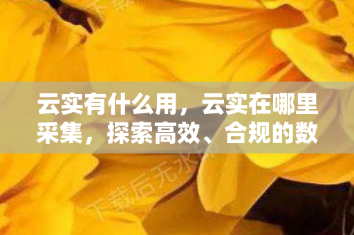云实有什么用，云实在哪里采集，探索高效、合规的数据获取途径