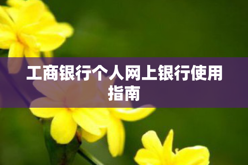 工商银行个人网上银行使用指南