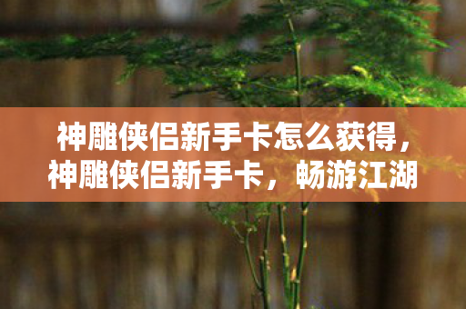 神雕侠侣新手卡怎么获得，神雕侠侣新手卡，畅游江湖的启程之钥