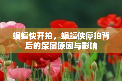 蝙蝠侠开拍，蝙蝠侠停拍背后的深层原因与影响