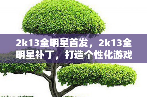 2k13全明星首发，2k13全明星补丁，打造个性化游戏体验