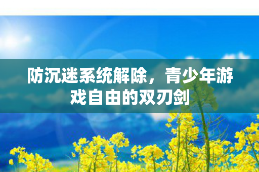 防沉迷系统解除，青少年游戏自由的双刃剑