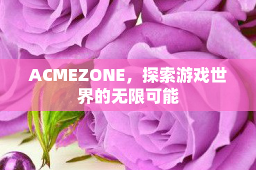 ACMEZONE，探索游戏世界的无限可能