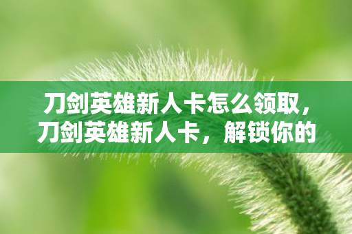 刀剑英雄新人卡怎么领取，刀剑英雄新人卡，解锁你的英雄之旅