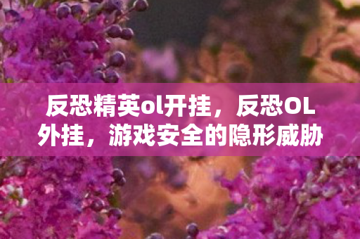 反恐精英ol开挂，反恐OL外挂，游戏安全的隐形威胁