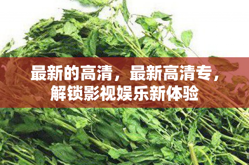 最新的高清，最新高清专，解锁影视娱乐新体验