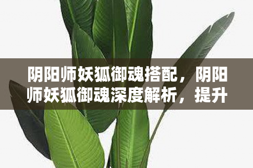 阴阳师妖狐御魂搭配，阴阳师妖狐御魂深度解析，提升战斗力的关键