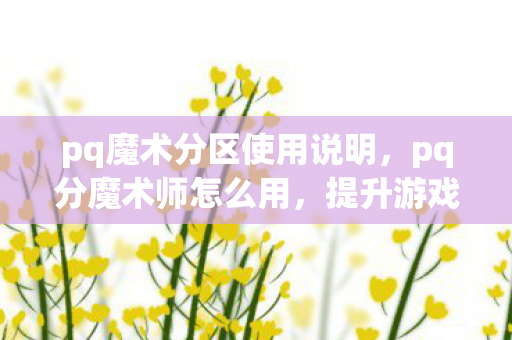 pq魔术分区使用说明，pq分魔术师怎么用，提升游戏乐趣的实用技巧