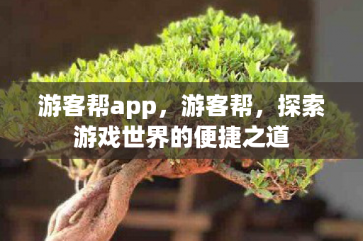 游客帮app，游客帮，探索游戏世界的便捷之道