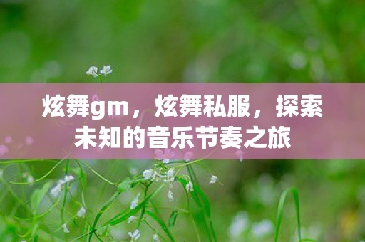 炫舞gm，炫舞私服，探索未知的音乐节奏之旅