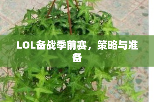 LOL备战季前赛,策略与准备 LOL备战季前赛,策略与准备
