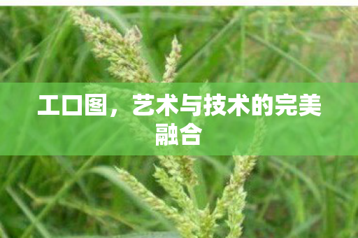 工口图，艺术与技术的完美融合