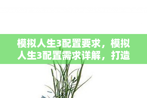模拟人生3配置要求，模拟人生3配置需求详解，打造流畅游戏体验