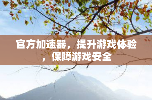 官方加速器，提升游戏体验，保障游戏安全