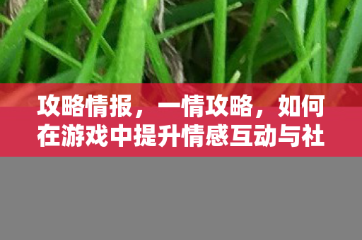 攻略情报，一情攻略，如何在游戏中提升情感互动与社交体验