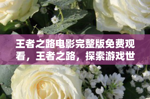王者之路电影完整版免费观看，王者之路，探索游戏世界的无限可能