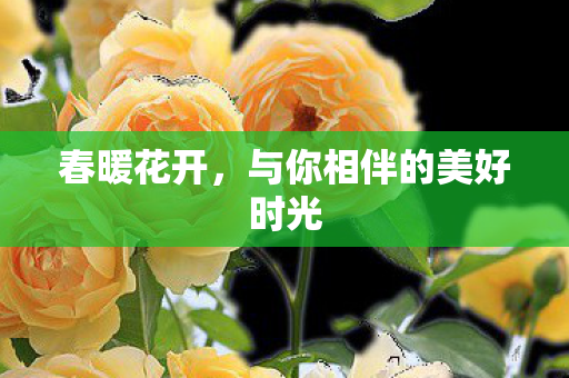 春暖花开,与你相伴的美好时光 春暖花开,与你相伴的美好时光