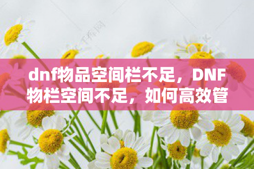 dnf物品空间栏不足，DNF物栏空间不足，如何高效管理游戏资源