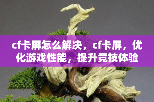 cf卡屏怎么解决，cf卡屏，优化游戏性能，提升竞技体验