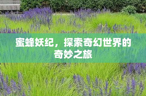 蜜蜂妖纪，探索奇幻世界的奇妙之旅