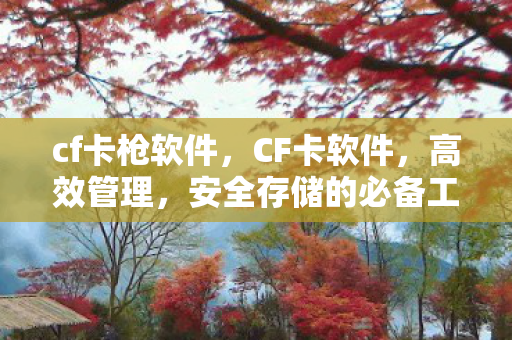 cf卡枪软件，CF卡软件，高效管理，安全存储的必备工具