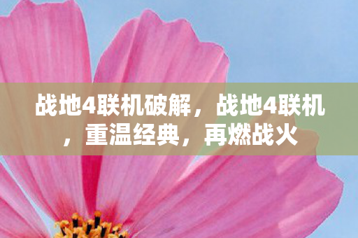 战地4联机破解，战地4联机，重温经典，再燃战火