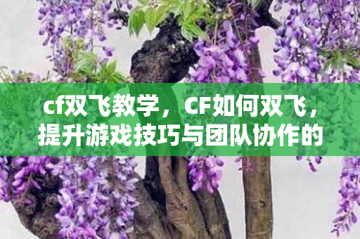 cf双飞教学，CF如何双飞，提升游戏技巧与团队协作的实战指南
