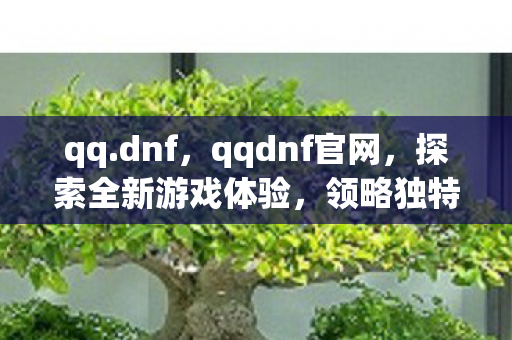 qq.dnf，qqdnf官网，探索全新游戏体验，领略独特魅力