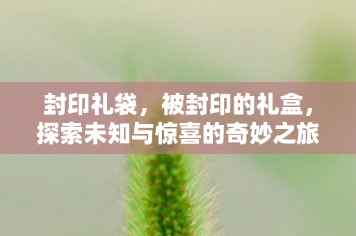 封印礼袋，被封印的礼盒，探索未知与惊喜的奇妙之旅