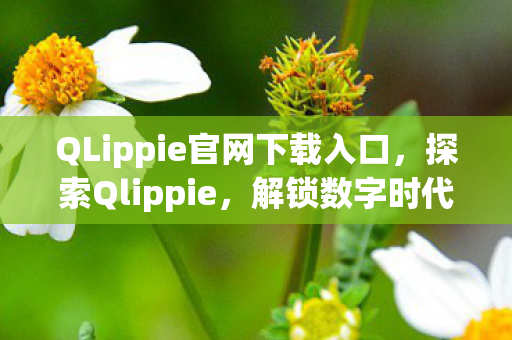 QLippie官网下载入口，探索Qlippie，解锁数字时代的创新应用与体验