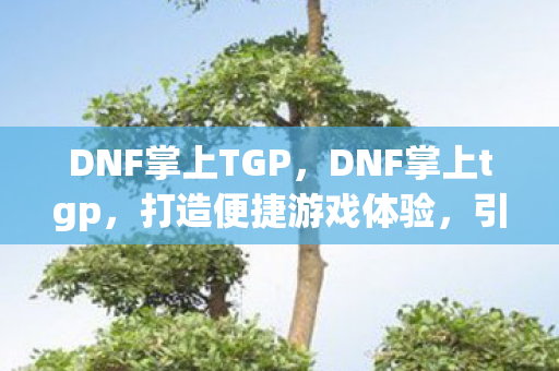 DNF掌上TGP，DNF掌上tgp，打造便捷游戏体验，引领全新潮流