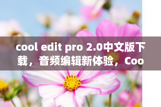 cool edit pro 2.0中文版下载，音频编辑新体验，Cool Edit Pro 2.0中文版全面解析