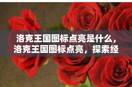 洛克王国图标点亮是什么，洛克王国图标点亮，探索经典游戏的魅力与传承