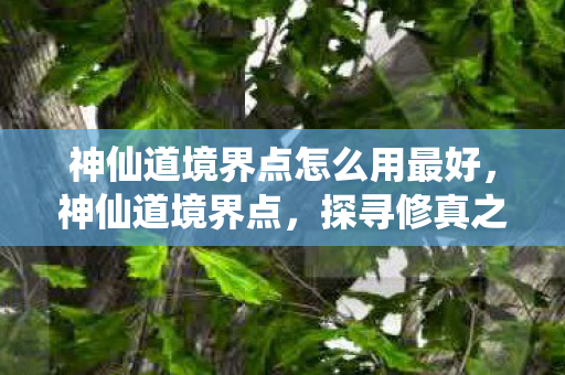 神仙道境界点怎么用最好，神仙道境界点，探寻修真之旅的奥秘