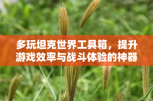 多玩坦克世界工具箱，提升游戏效率与战斗体验的神器