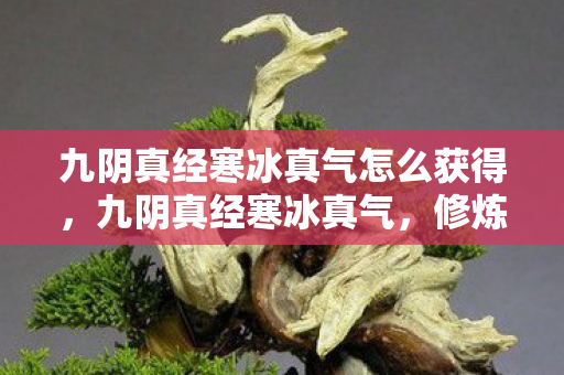 九阴真经寒冰真气怎么获得，九阴真经寒冰真气，修炼与实战应用
