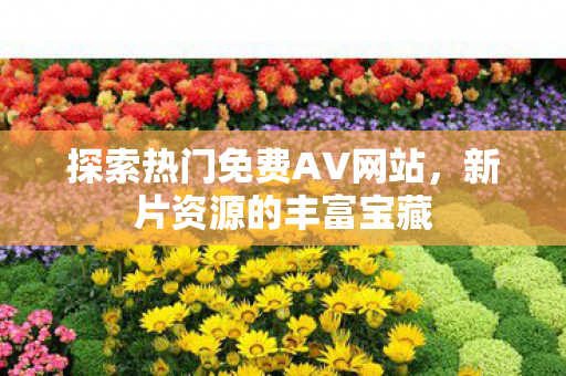探索热门免费AV网站，新片资源的丰富宝藏