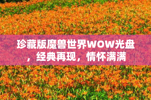 珍藏版魔兽世界WOW光盘，经典再现，情怀满满