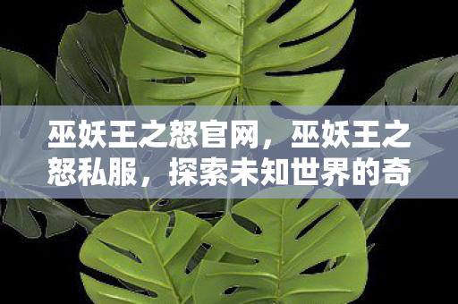 巫妖王之怒官网，巫妖王之怒私服，探索未知世界的奇幻之旅