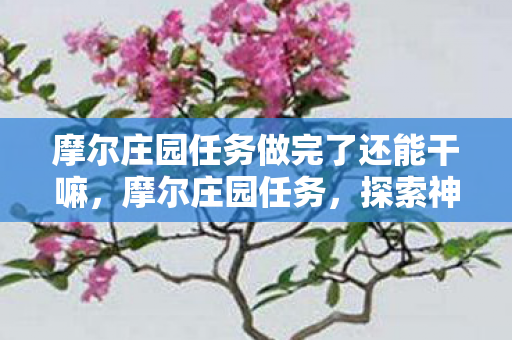 摩尔庄园任务做完了还能干嘛，摩尔庄园任务，探索神秘岛屿，收获无限惊喜