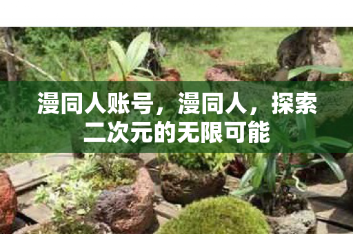 漫同人账号，漫同人，探索二次元的无限可能